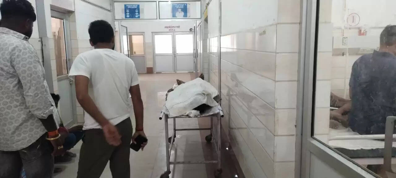 पेड़ काटते समय मजदूर की दर्दनाक मौत