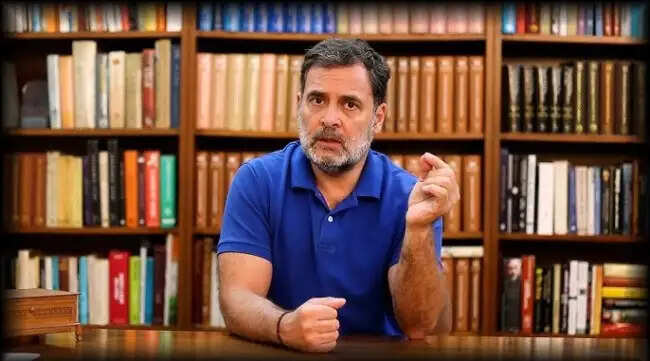 (अपडेट) अमेरिका के किसानाें के लिए भारत का बाजार खाेलने से देश का किसान हाेगा बर्बाद: राहुल गांधी