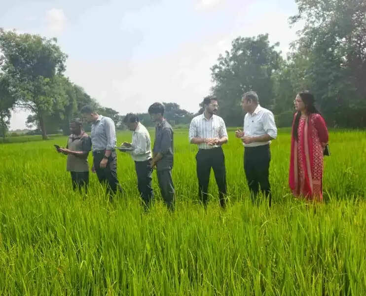 खेत में पहुंचे कलेक्टर मयंक चतुर्वेदी, देखा डिजिटल क्रॉप सर्वे का काम