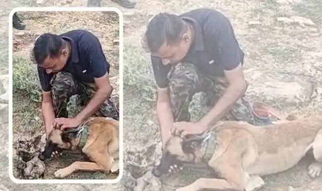 मध्य प्रदेश एसटीएसएफ की बड़ी कार्रवाई, तेंदुआ शिकार गिरोह का भंडाफोड़, 7 आरोपी गिरफ्तार
