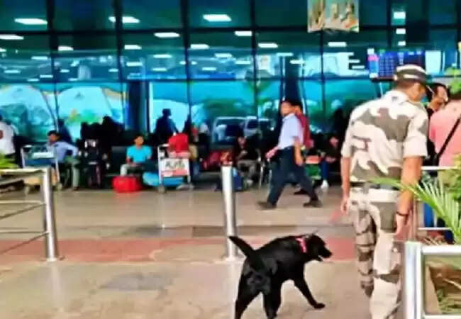 पटना हवाई अड्डा पर हाई अलर्ट,स्नाइपर डॉग्स के साथ की जा रही कड़ी निगरानी