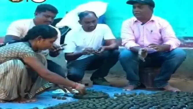 दंतेवाड़ा में हरित आवरण बढ़ाने एक लाख सीड बॉल तैयार करने का लक्ष्य
