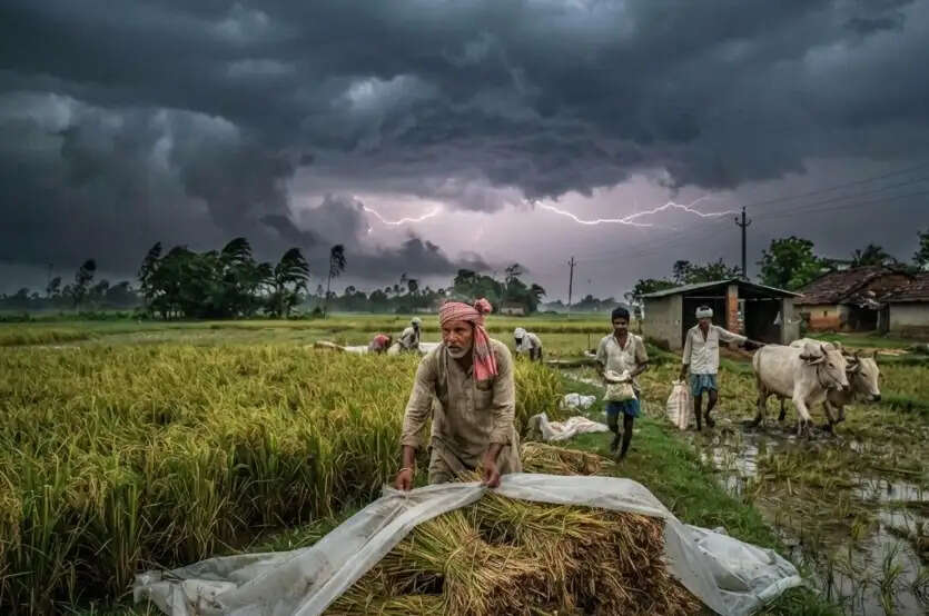 भागलपुर में आज दोपहर आंधी-बारिश और वज्रपात के आसार, उमस बरकार; किसानों को सतर्क रहने की सलाह