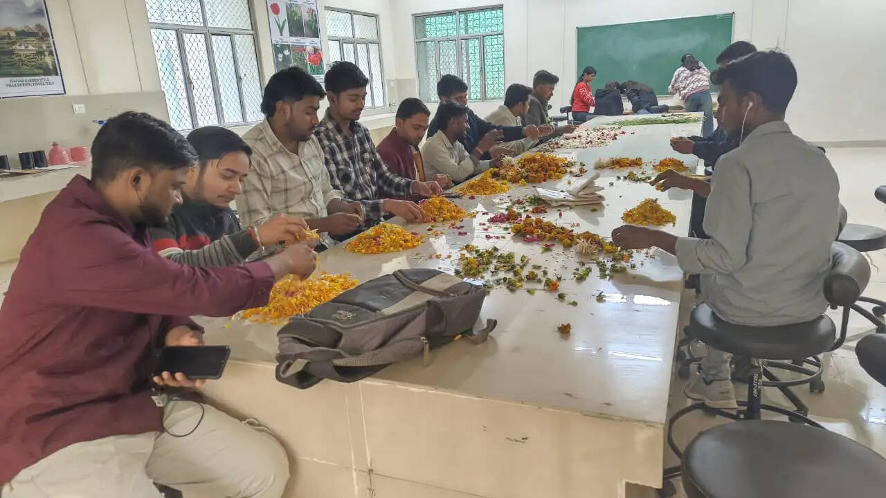 सीखने के साथ कमाई का हुनर सीख रहे उद्यानिकी के छात्र