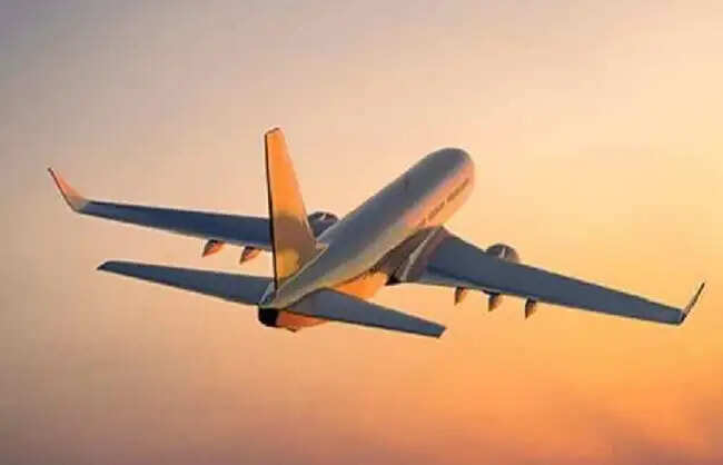 श्रीनगर जाने वाली फ्लाइट्स के किराये पर सरकार की नजर, एयरलाइन कंपनियों को सख्त निर्देश