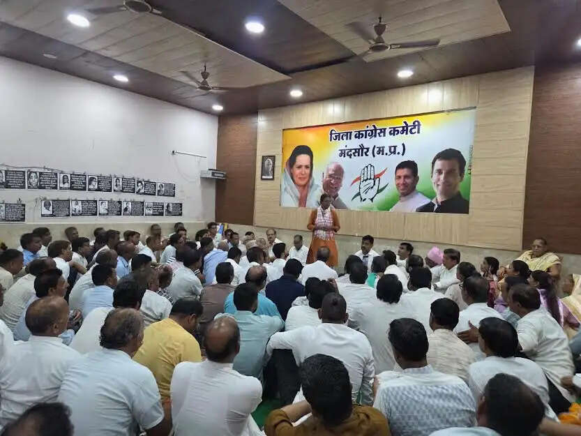 राज्यसभा नामांकन निरस्त होने के बाद पहली बार मंदसौर पहुंचीं मीनाक्षी नटराजन, भाजपा पर साधा निशाना