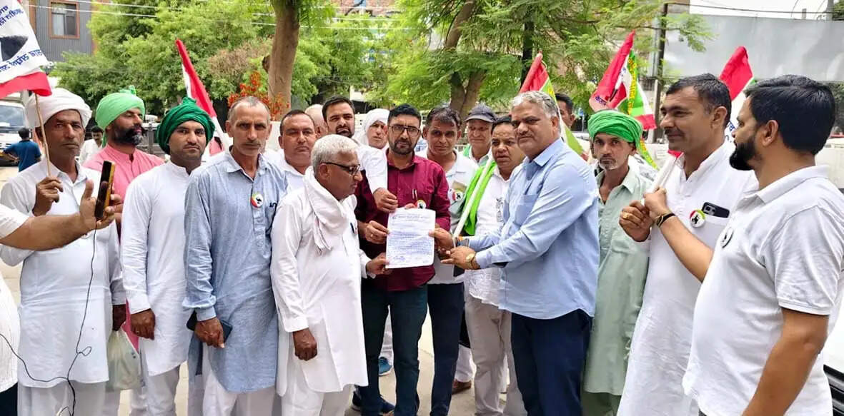 हिसार व बालसमंद मंडी में चने, सरसों की सरकारी खरीद शुरू करने की मांग