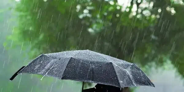 मध्य प्रदेश के 14 जिलों में आज भारी बारिश की चेतावनी, नर्मदापुरम-जबलपुर और चंबल संभाग में रहेगा ज्यादा असर