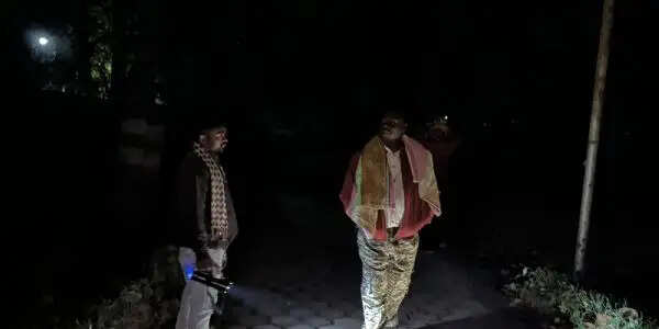 अंबिकापुर : संजय पार्क में फिर लापरवाही, बाड़े से भागा हिरण, वन विभाग में मचा हड़कंप