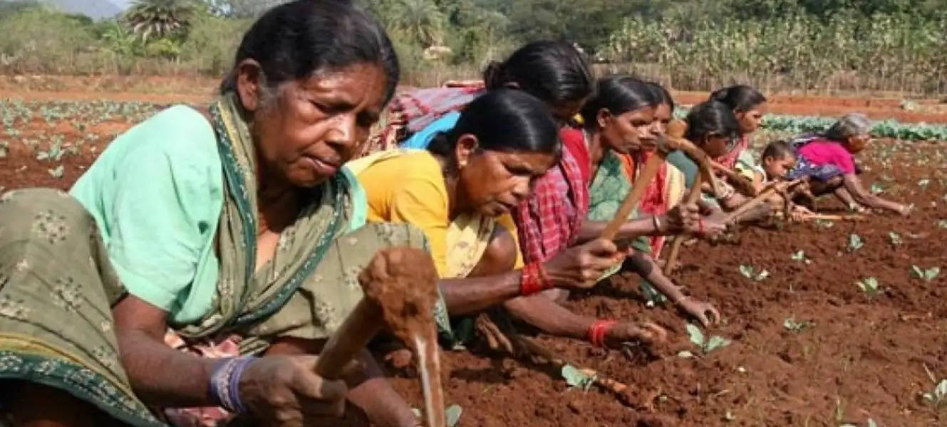 मप्र में सरकारी योजनाओं के कारण गरीबी रेखा से बाहर आए 1.30 करोड़ लोग