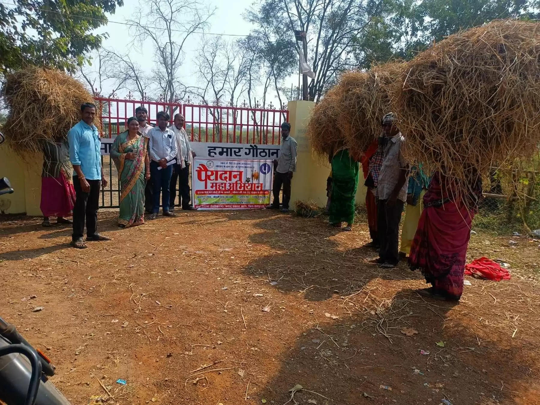रायपुर : श्रमदान कर गांव के लोग खेतों से गौठान पहुंचा रहे पैरा