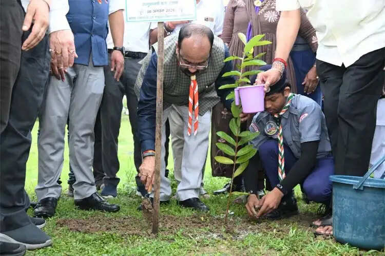 उप मुख्यमंत्री&nbsp;अरुण साव ने किया पौधारोपण, बोले हरियाली बढ़ेगी तो पर्यावरण भी स्वस्थ और सुंदर बनेगा