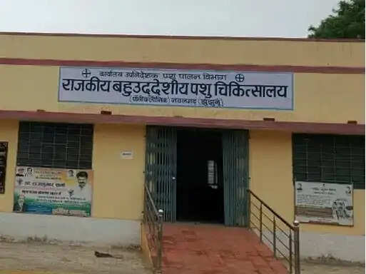 लंपी में मरे पशुओं का मुआवजा नहीं मिला