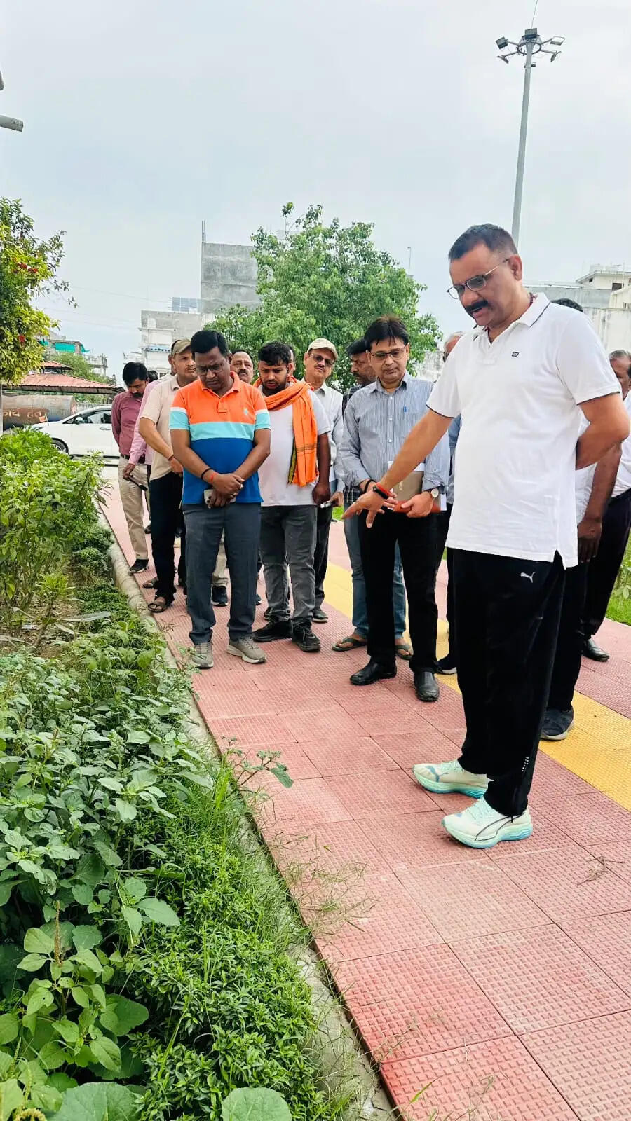 वाराणसी शहर के चौराहों और घाटों को मिलेगी 'ग्रीन शेड' की छाया