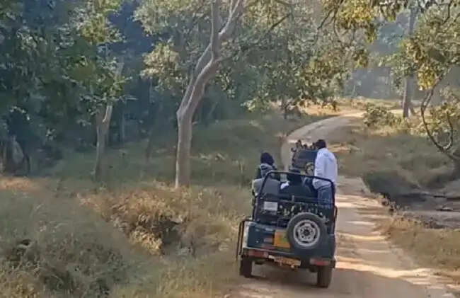 मप्र के पेंच को मिलेगा बायो स्फीयर रिजर्व का दर्जा, यूनेस्को को प्रस्ताव भेजेगी सरकार