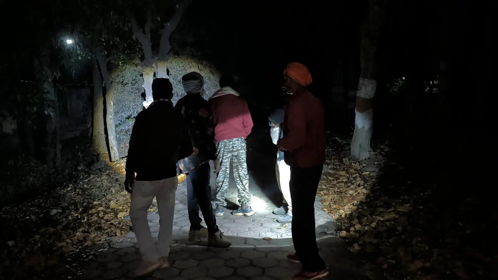 अंबिकापुर : संजय पार्क में फिर लापरवाही, बाड़े से भागा हिरण, वन विभाग में मचा हड़कंप