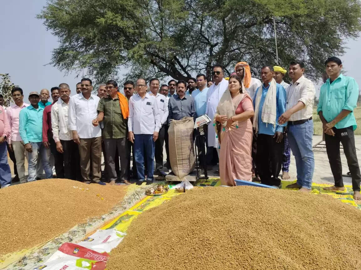 समर्थन मूल्य पर शुरू हुई चना खरीद, तरसीवां समिति में खरीदा गया लगभग 10 क्विंटल चना