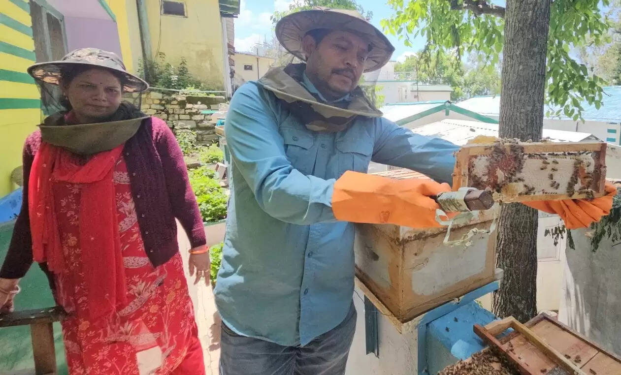 मौन पालन बन रहा आजीविका का आधार