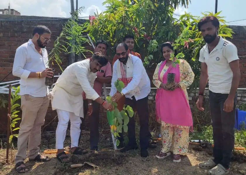 भाजपा क्रीड़ा प्रकोष्ठ ने खेल मैदान में किया पौधारोपण, प्रधानमंत्री के 12 वर्ष के कार्यकाल को समर्पित रहा कार्यक्रम