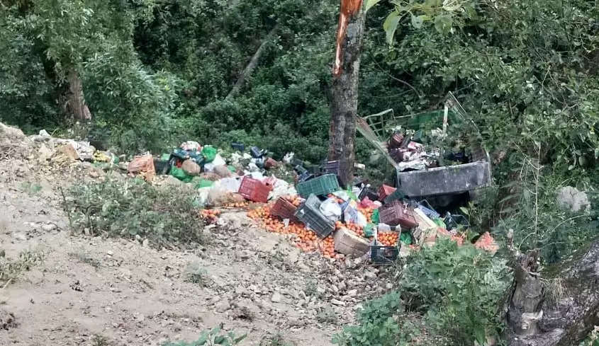 ट्रक अनियंत्रित होकर खाई में गिरा, चालक घायल