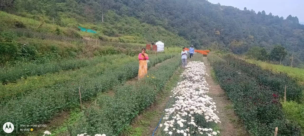 बनेखखाल के कुंड गांव में बंजर भूमि को फिर से किया आबाद