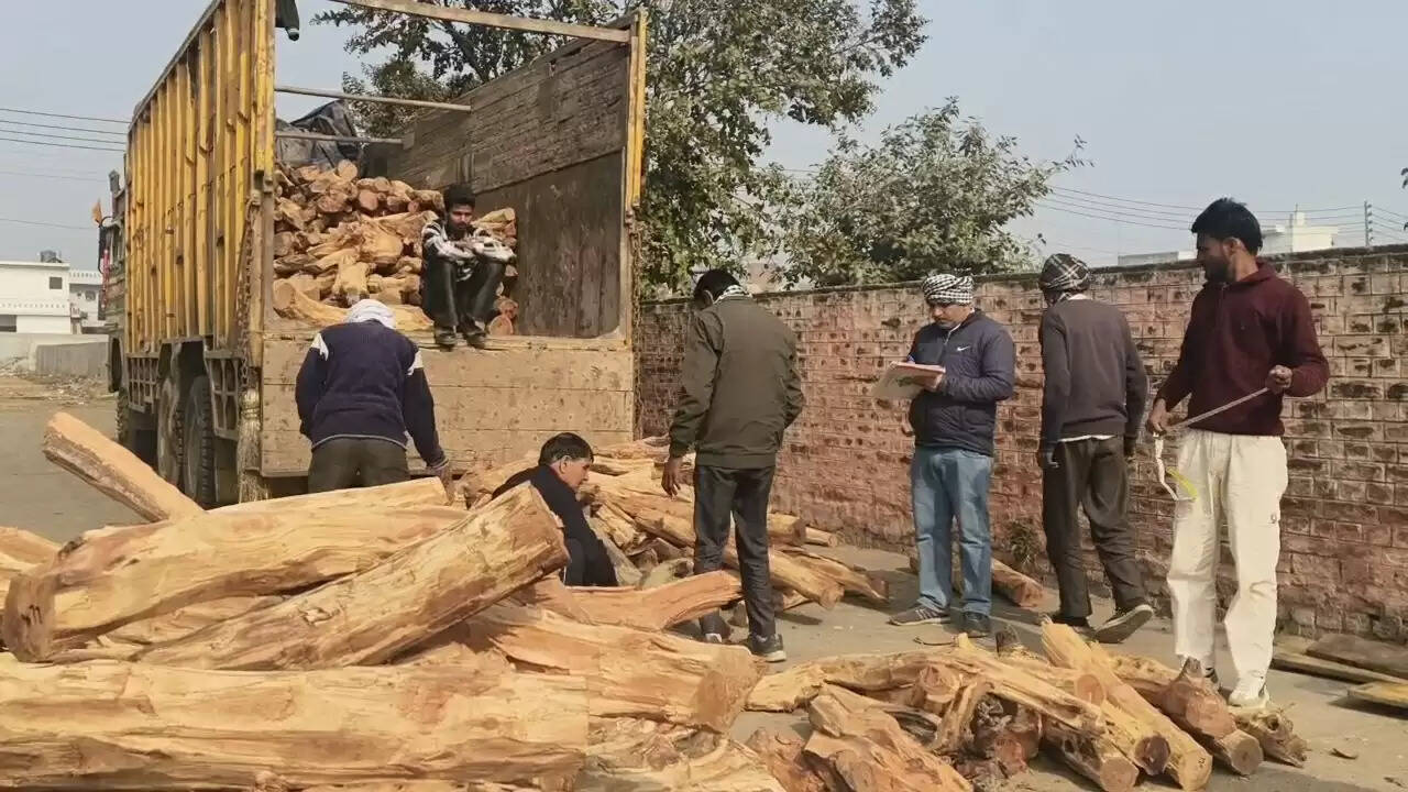 यमुनानगर:सौ क्विंटल खैर की लकड़ी बरामद,हिमाचल में हो रही थी तस्करी