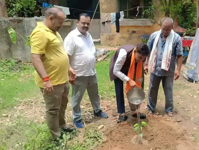 वृक्ष इस पृथ्वी पर सभी प्राणियों के जीवन की आधारशिला : राजेंद्र मिश्र