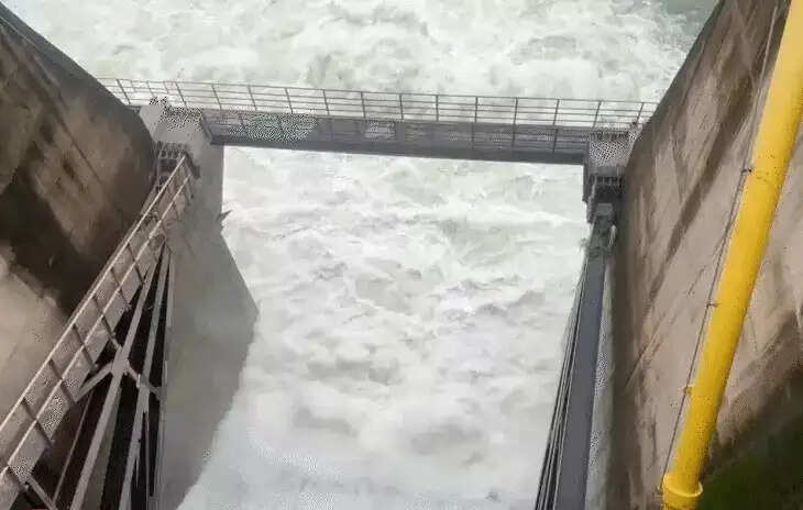 मप्र के कई जिलों में झमाझम बारिश, बड़वानी का सबसे बड़ा तालाब ओवरफ्लो, टीकमगढ़ में बांध के 4 गेट खुले