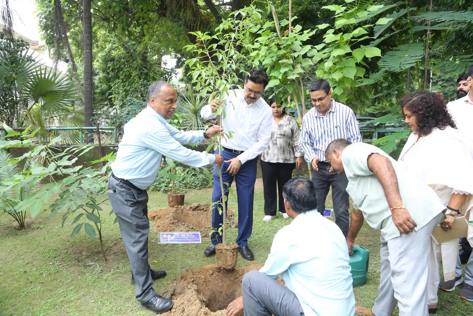 डीयू कुलपति ने पहले कार्बन गार्डन का किया उद्घाटन, लगाया कल्पवृक्ष का पौधा