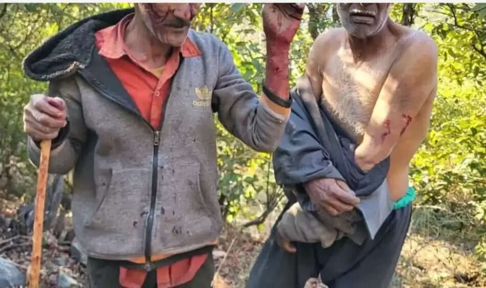 गुलदार के हमले , ग्रामीणों में दहशत