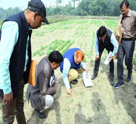 जलवायु परिवर्तन के अनुकूल सब्जी फसलों पर करना होगा अनुसंधान : डॉ.राजेश कुमार