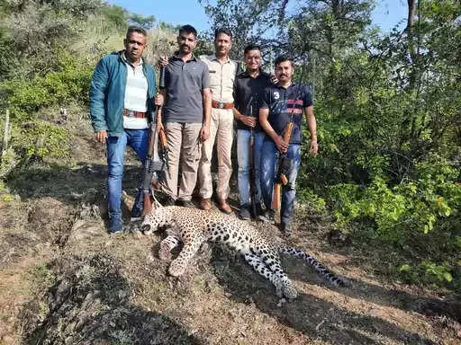 दस लोगों को मारने वाले लेपर्ड को गोली मारी