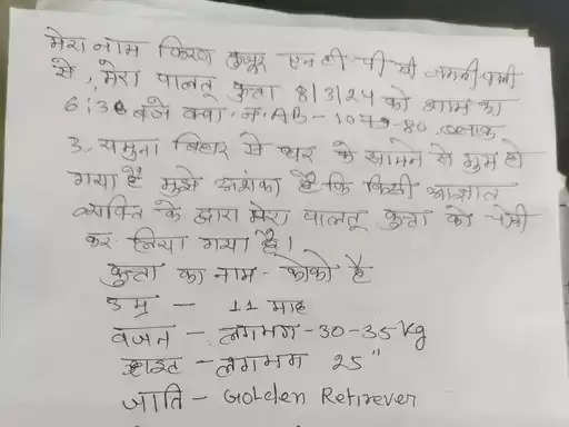 कोरबा में कॉलोनी से अचानक लापता हुआ विदेशी नस्ल का पालतू कुत्ता, मालकिन ने दर्ज कराई शिकायत