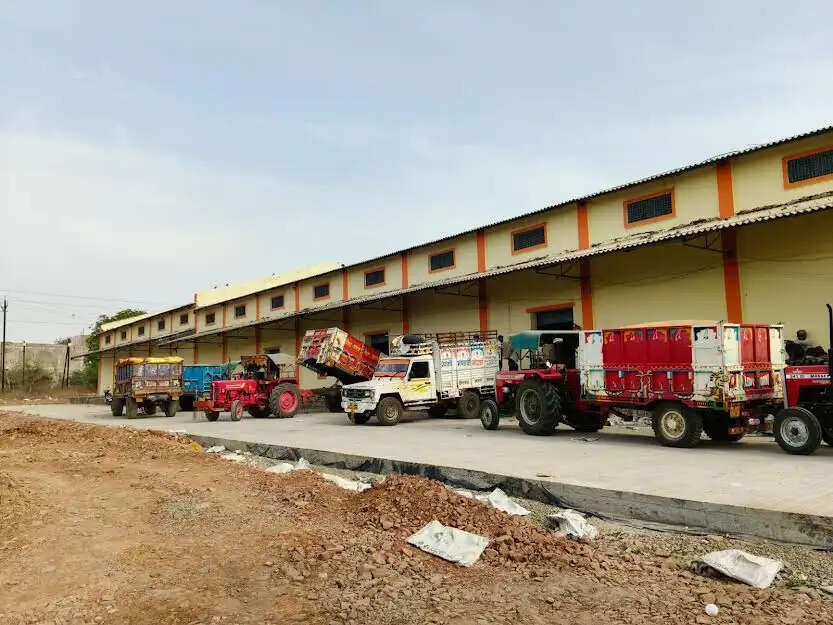 मंदसौर : 72 उर्पाजन केन्द्रों पर हो रही सरकारी गेहूं की खरीदी, बारदान की कमी से परेशान हो रहे है किसान