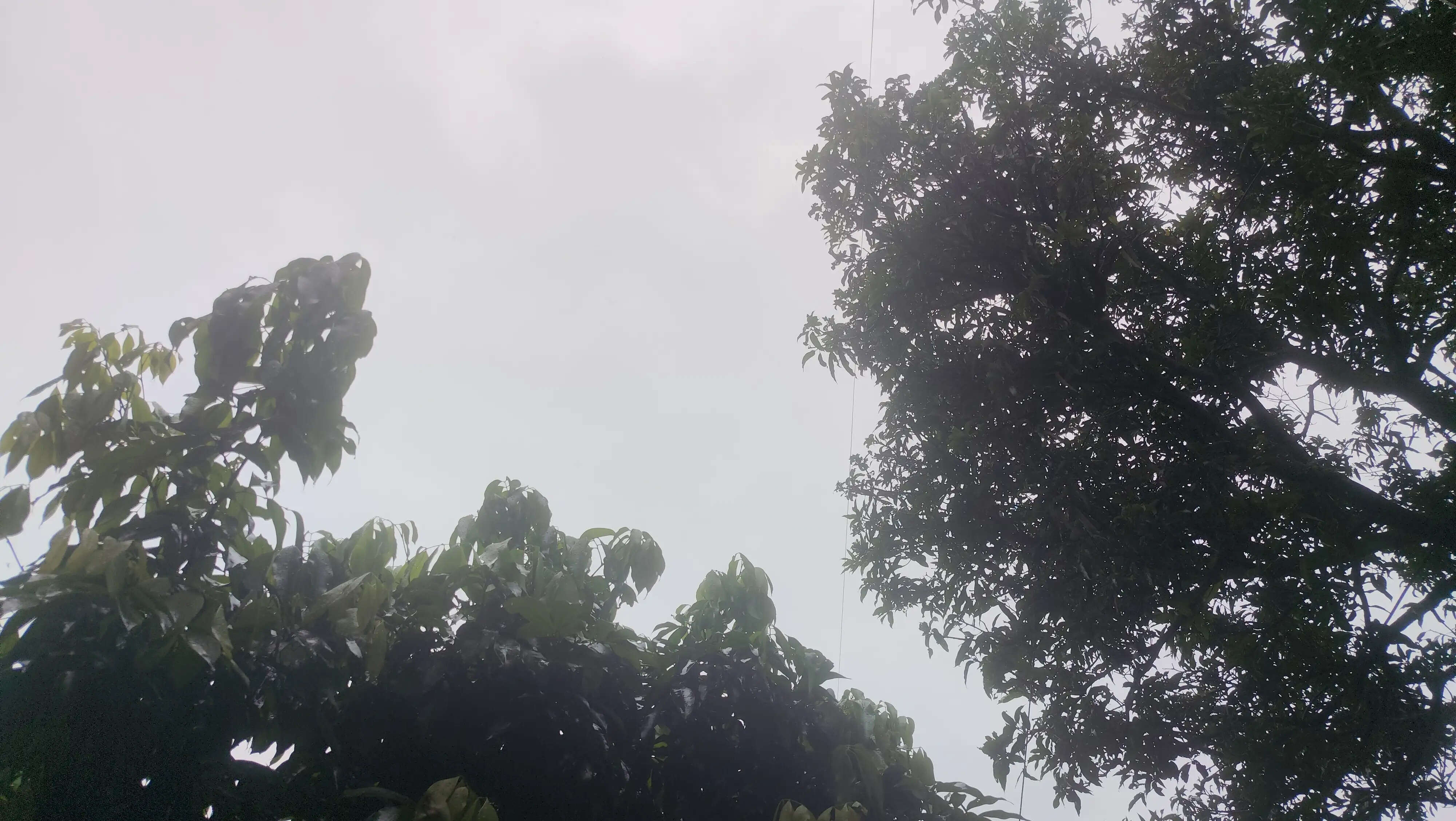 उत्तराखंड के कई जिलों में भारी बारिश का अलर्ट