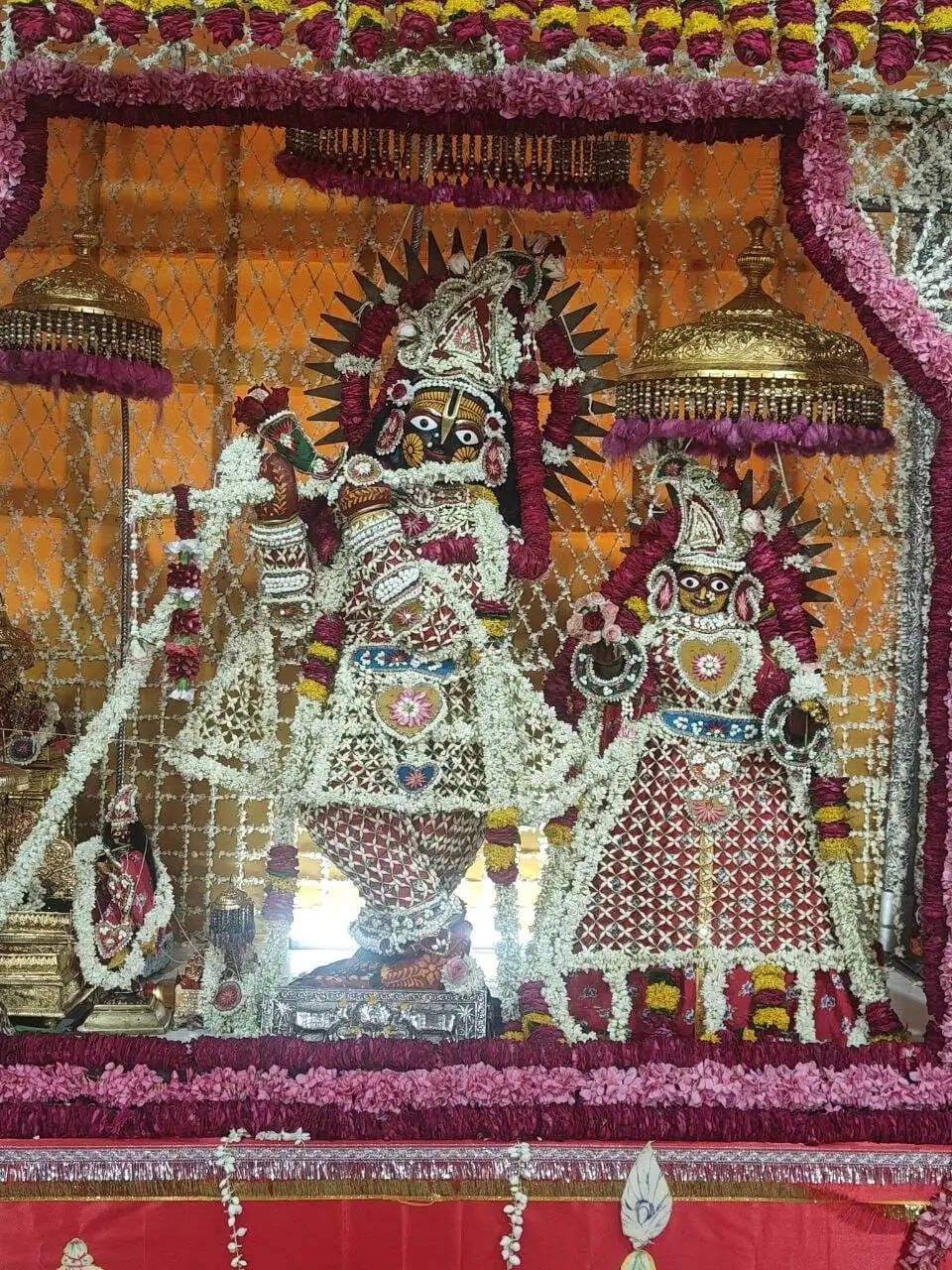 योगिनी एकादशी पर भक्ति में डूबा जयपुर: शहर के प्रमुख मंदिरों में सजी विशेष झांकियां