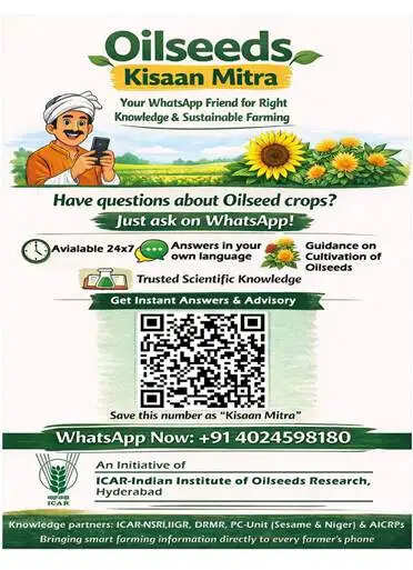 तिलहन किसानों के लिए शुरू हुई ‘ऑयलसीड्स किसान मित्र’ सेवा, व्हाट्सएप पर मिलेगी 24 घंटे मुफ्त कृषि सलाह