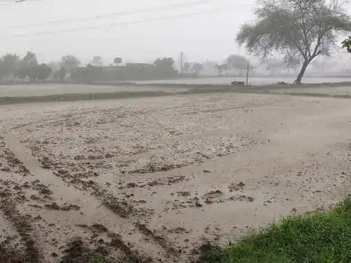 अनूपपुर में 24 घंटे में औसतन एक इंच बारिश, फिर भी पिछले वर्ष से 145 मिमी कम वर्षा; बुआई लक्ष्य से पीछे