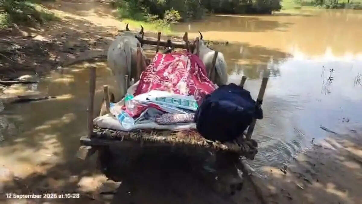 शहडोल : नागपुर से आया शव, कीचड़ भरे रास्ते के कारण बैलगाड़ी से ले जाना पड़ा घर