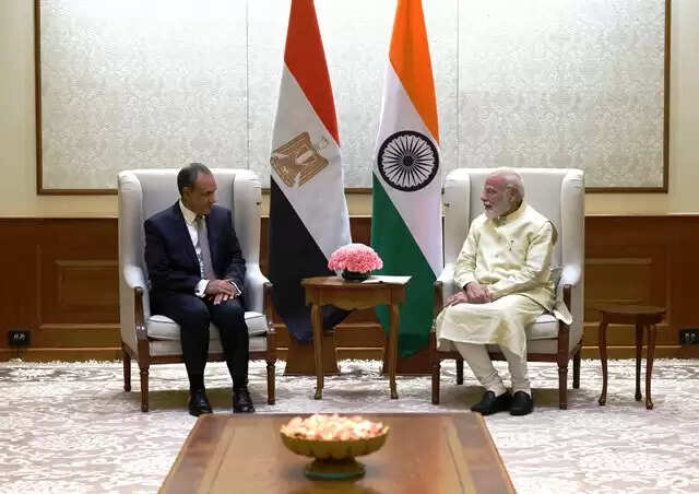 प्रधानमंत्री मोदी से मिले मिस्र के विदेश मंत्री, रणनीतिक साझेदारी पर हुई वार्ता