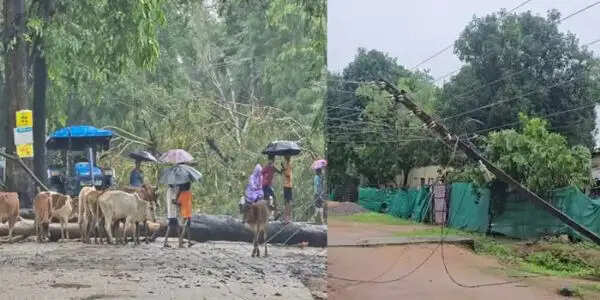 बांदे-पखांजूर मुख्य मार्ग पर दर्जनों पेड़ व बिजली के पोल गिरे यातायात हुआ बाधित