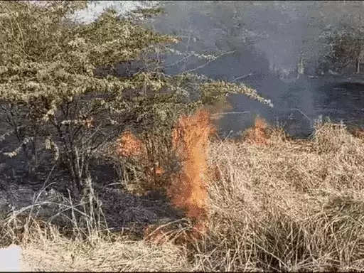 झाड़ियों में लगी आग, जेसीबी मशीन से खाई खोदकर दो घंटे में पाया जा सका काबू