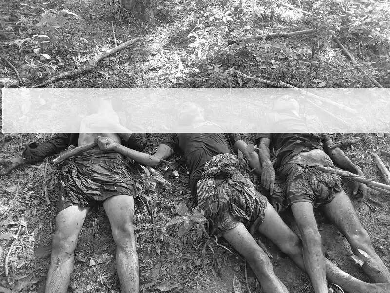 त्रिपुरा के भारत-बांग्लादेश सीमावर्ती इलाके में खून से लथपथ तीन शव बरामद