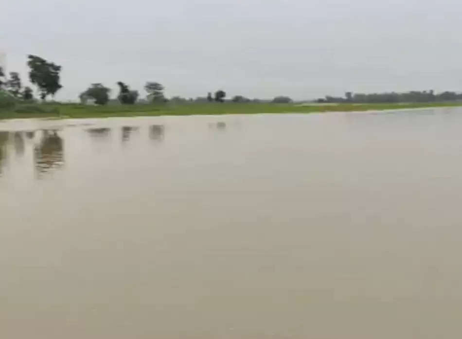 नेपाल में हुई बारिश से किशनगंज में नदियों के जलस्तर में इजाफा, ग्रामीणों की बढ़ी चिंता