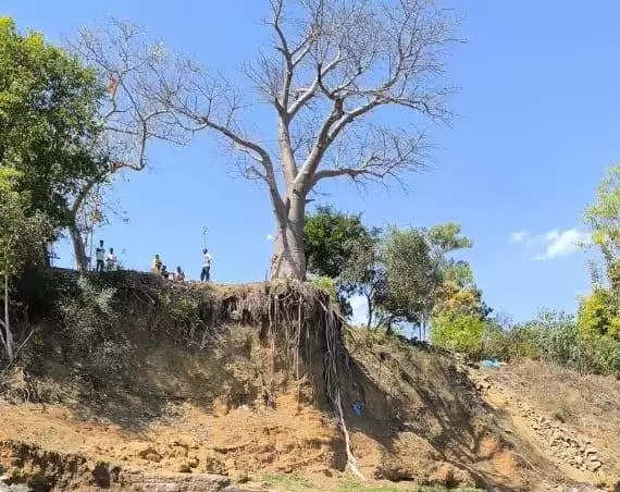 अनूपपुर: शिवरीसंगम स्थित कल्पवृक्ष के भूमि क्षरण बचाव निर्माण कार्य का कलेक्टर ने लिया जायजा