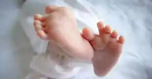 रायसेन के उदयपुरा में पॉलिथीन में मिला नवजात का शव, पुलिस&nbsp;जांच में&nbsp;जुटी