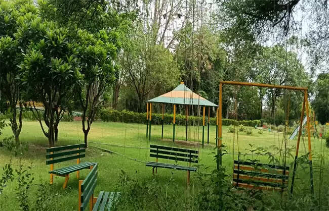 नारनौलः ‘गूगल वाटिका’ बना पर्यटन और प्राकृतिक खेती का उदाहरण