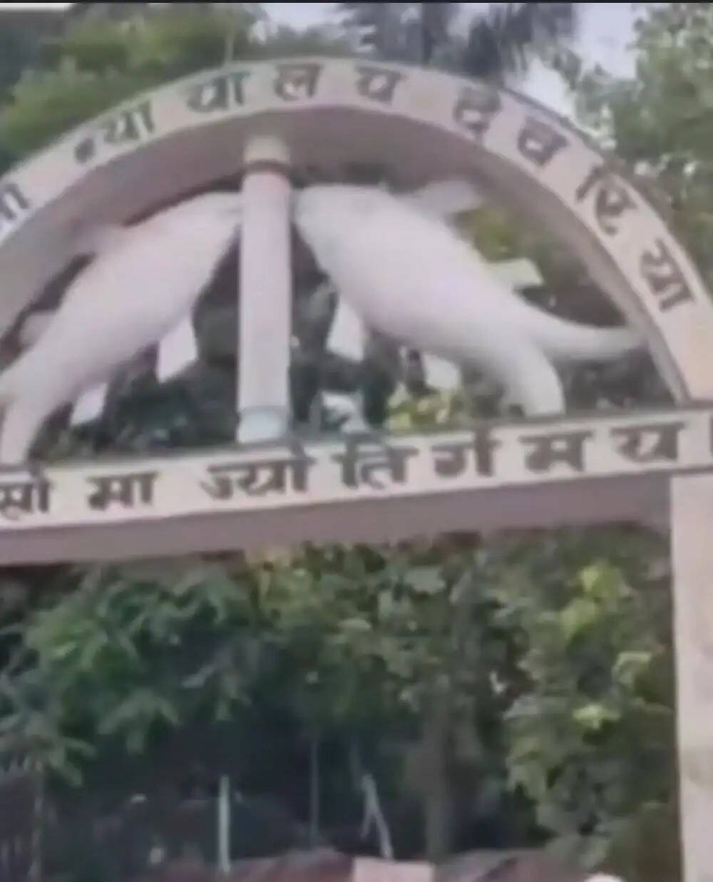 देवरिया पुलिस की प्रभावी पैरवी से दुष्कर्म व पॉक्सो मामले के एक दोषी को 10 वर्ष की सजा