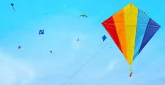 सेना दिवस: फ्लाई-पास्ट अभ्यास के दौरान पांच किलोमीटर के दायरे में लगाई पतंगबाजी पर रोक