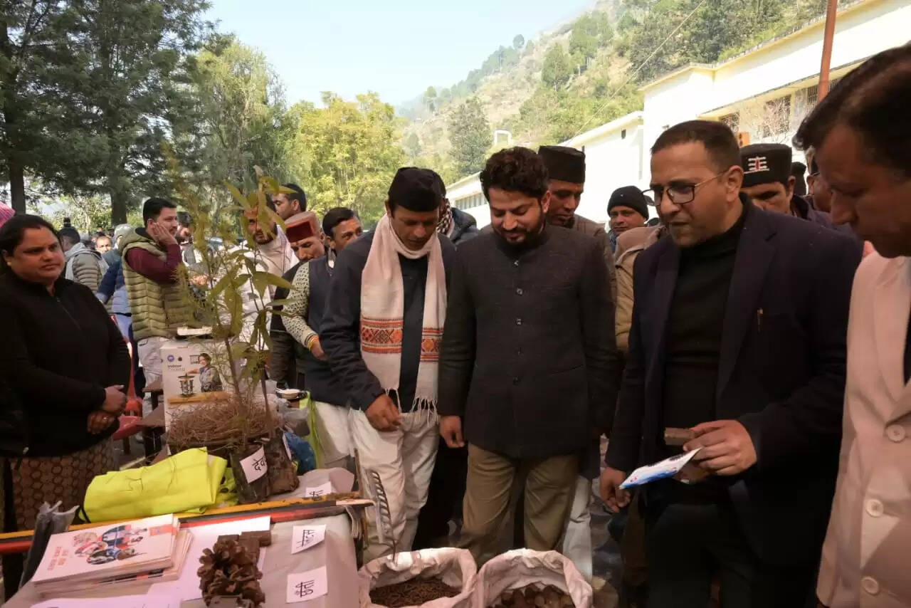 न्याय पंचायत पिपली में उत्साह, 1570 ने किया प्रतिभाग